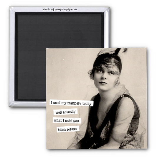 I USED MY MANNERS TODAY...SAID, BITCH PLEASE, 2x2 MAGNET
