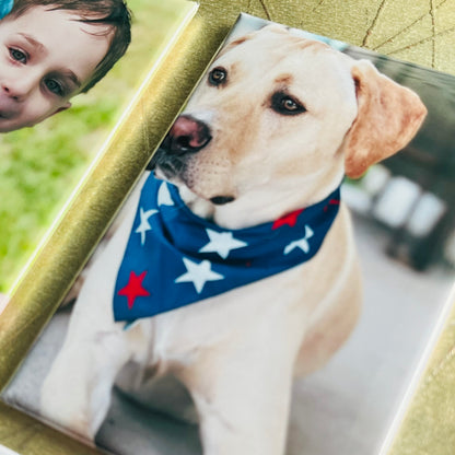 Set of 6 Custom RECTANGLE 2"x3" Personalized Photo Magnets