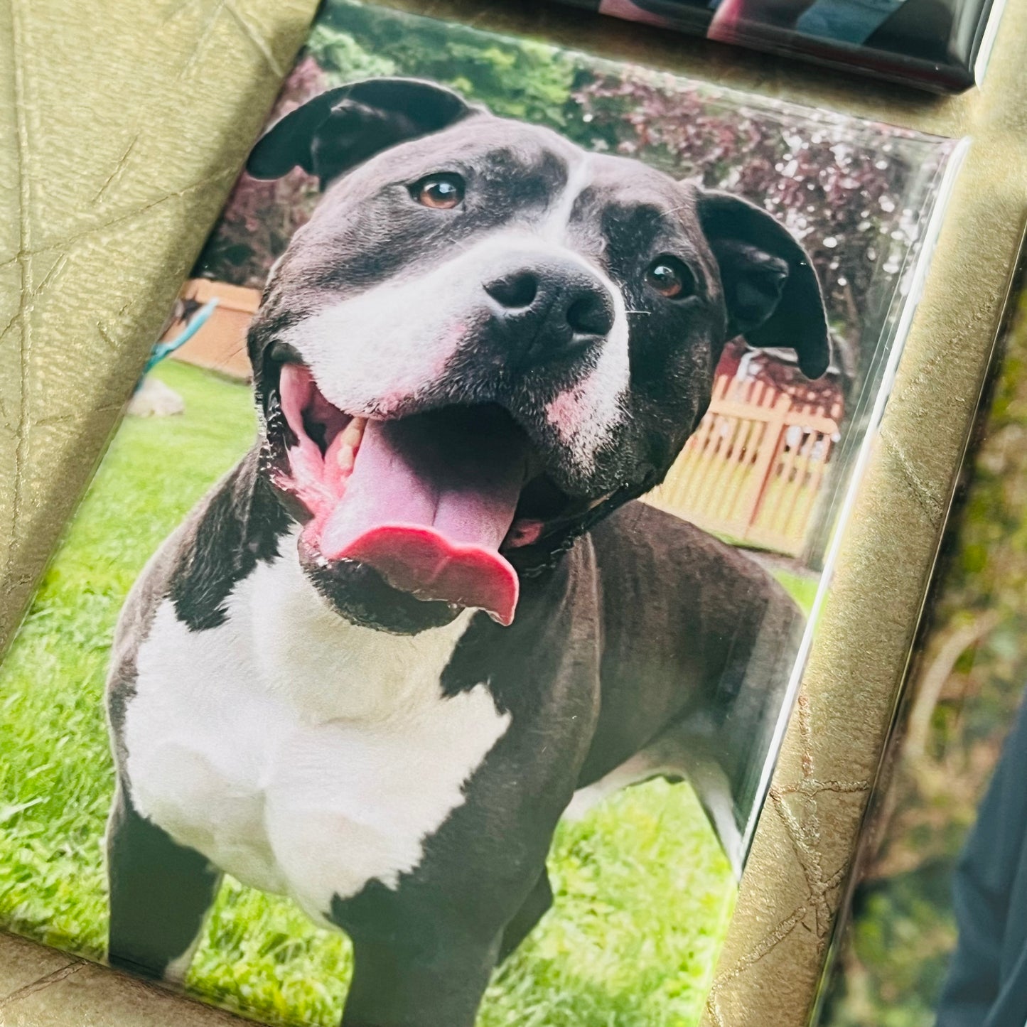 Set of 6 Custom RECTANGLE 2"x3" Personalized Photo Magnets