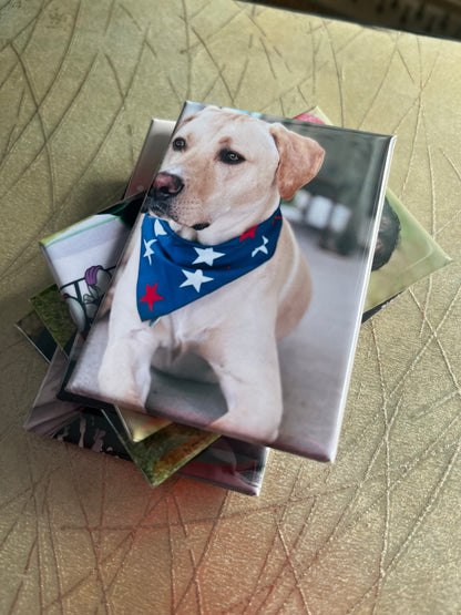 Set of 6 Custom RECTANGLE 2"x3" Personalized Photo Magnets